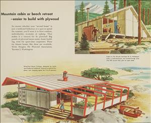 Colorful architectural rendering of a 1950s mountain cabin and beach house. Text reads mountain cabin or beach retreat easier to build with plywood. 